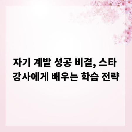 자기 계발 성공 비결, 스타 강사에게 배우는 학습 전략