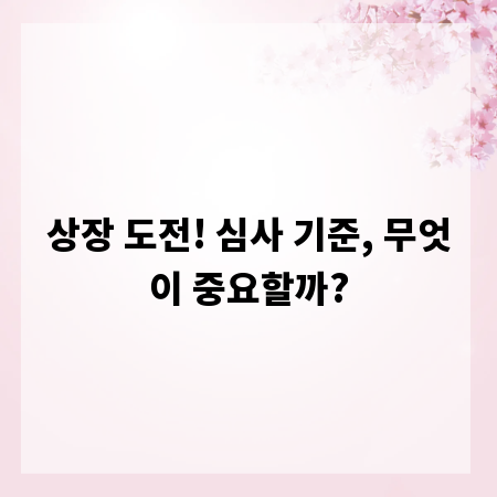 상장 도전! 심사 기준, 무엇이 중요할까?