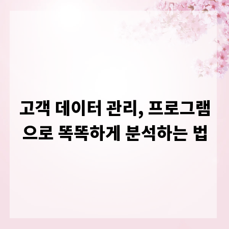 고객 데이터 관리, 프로그램으로 똑똑하게 분석하는 법