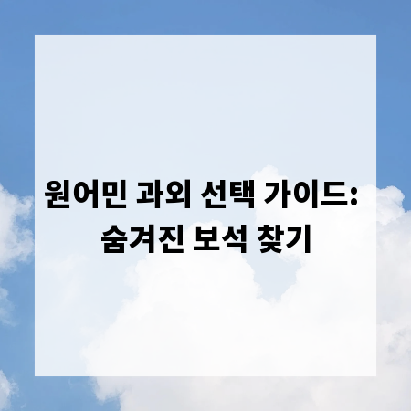 원어민 과외 선택 가이드: 숨겨진 보석 찾기