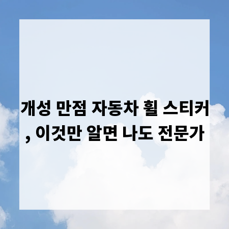 개성 만점 자동차 휠 스티커, 이것만 알면 나도 전문가