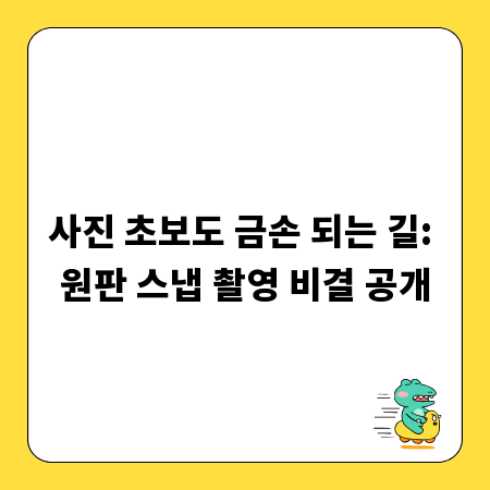 사진 초보도 금손 되는 길: 원판 스냅 촬영 비결 공개